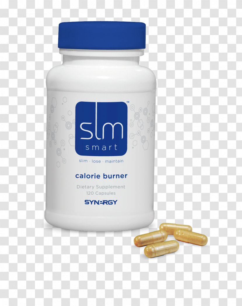 Calorie Weight Loss Synergy Thermogenics Price - Energy - Lowglycemic Diet Transparent PNG