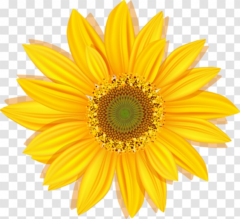 Flower Paper Search Engine Optimization Rotation - Sunflower Transparent PNG