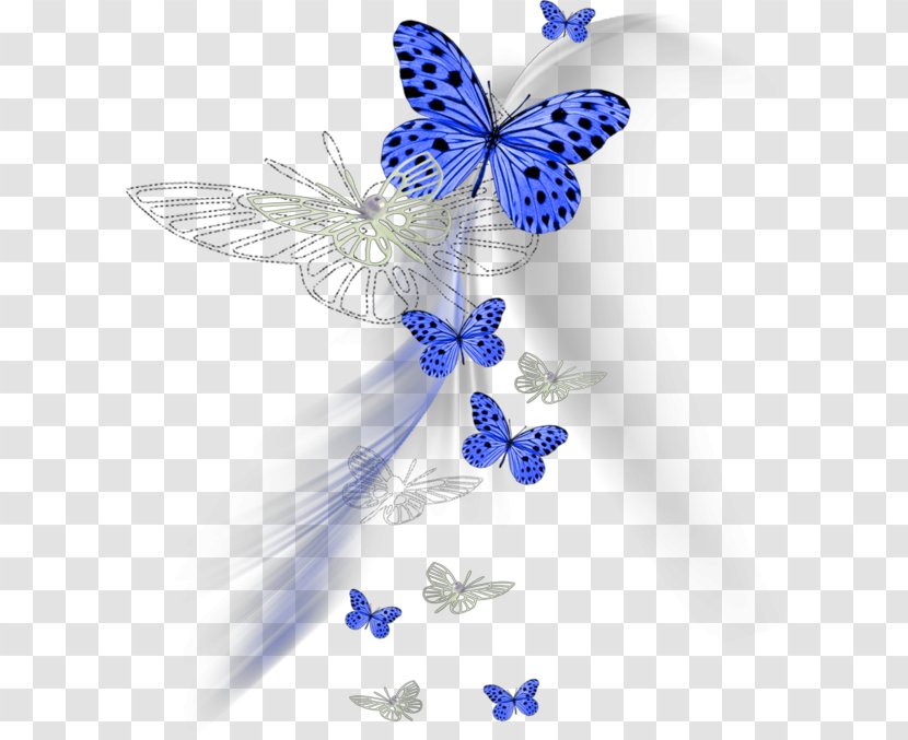 Butterfly Centerblog Clip Art Image - Page 58 Transparent PNG