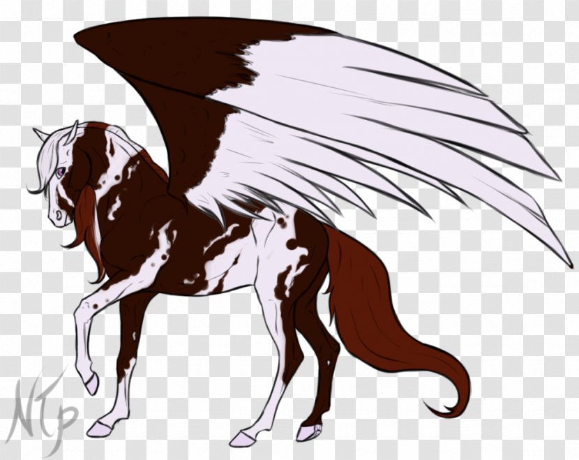 Mane Mustang Pony Rein - Horse - Fantasy Transparent PNG