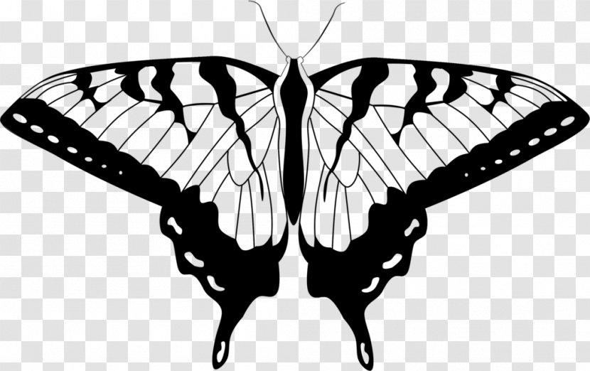 Butterfly Clip Art - Monarch Transparent PNG