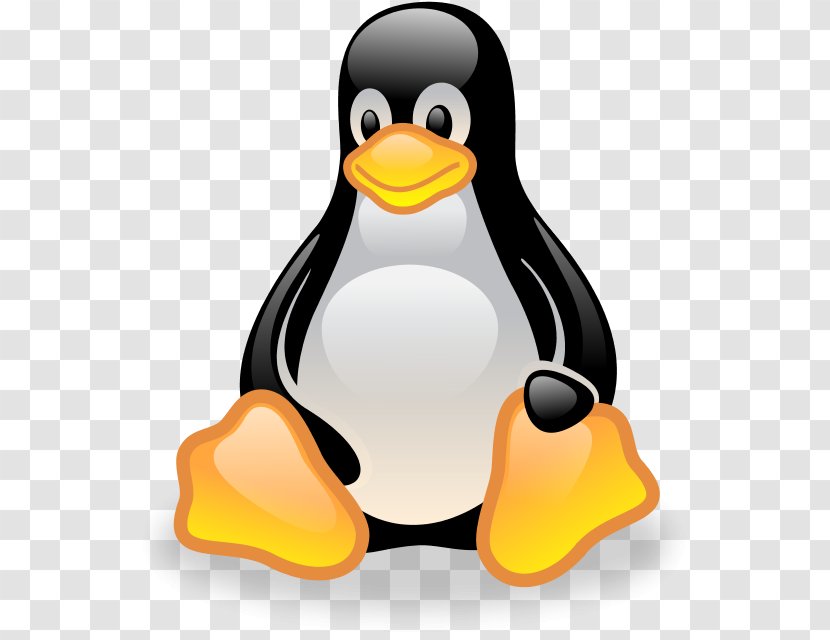 Clip Art File Format Image - Beak - Shell Command Linux Transparent PNG