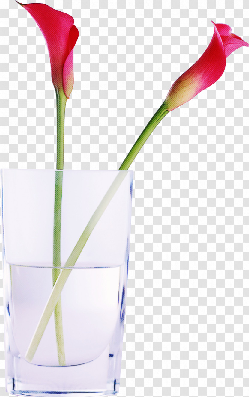 Plant Stem Petal Vase Purple Flower Transparent PNG