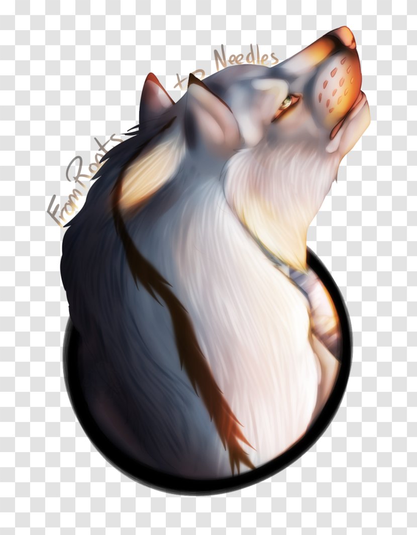 Whiskers Cat Snout Paw Jaw - Organism Transparent PNG