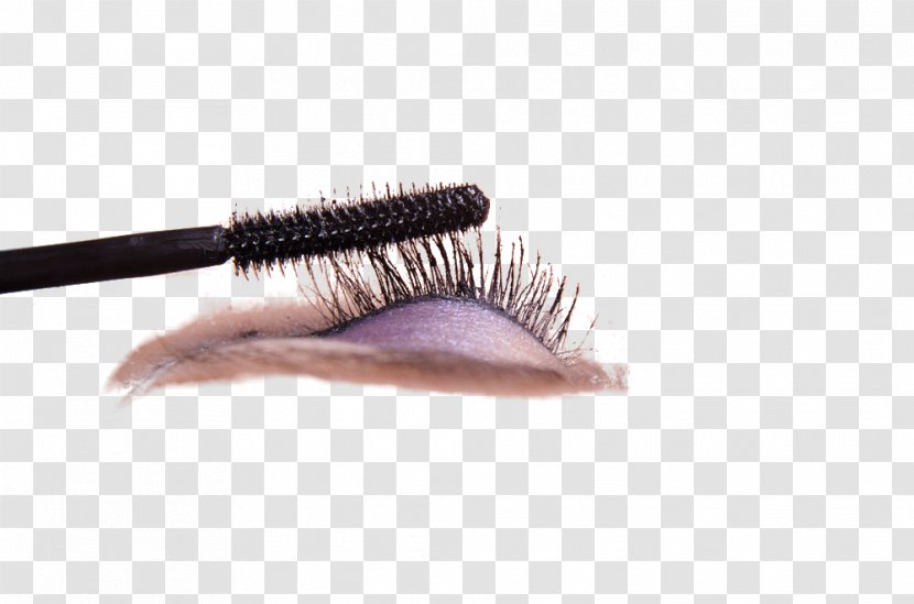 Eyelash Make-up Cosmetics - Brush - Eyelashes Transparent PNG
