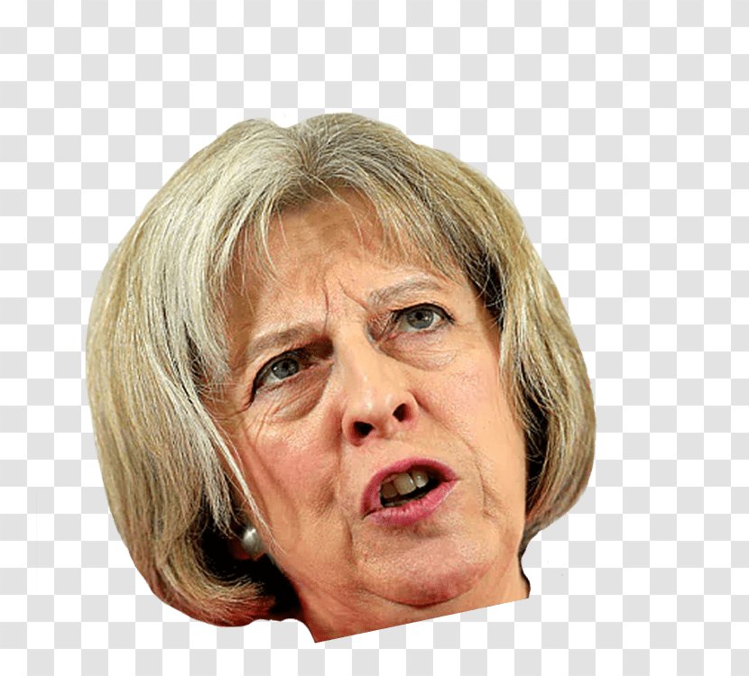 Theresa May Home Secretary Of The United Kingdom Brexit Police - Neck - Politics Transparent PNG