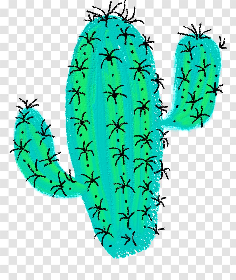 Clip Art Cactus Drawing Watercolor Painting - Plants Transparent PNG