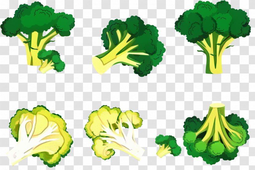 Vegetables Cartoon - Broccoli - Parsley Lettuce Transparent PNG