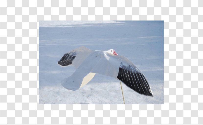 Snow Goose Decoy Waterfowl Hunting - Sillosocks Transparent PNG