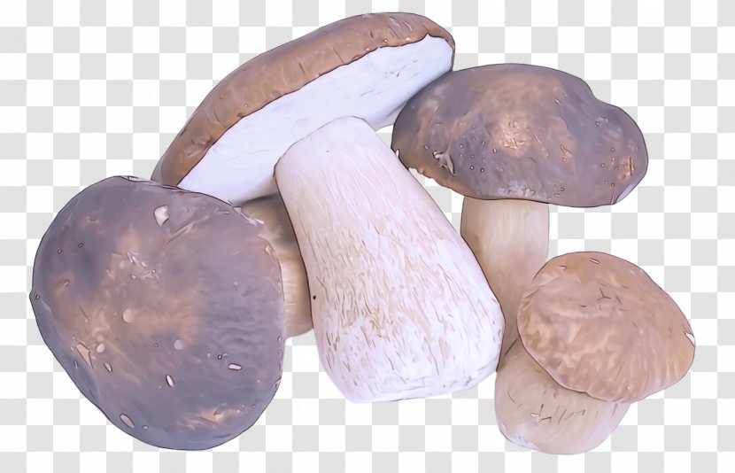 Mushroom Shiitake Penny Bun Edible Transparent PNG