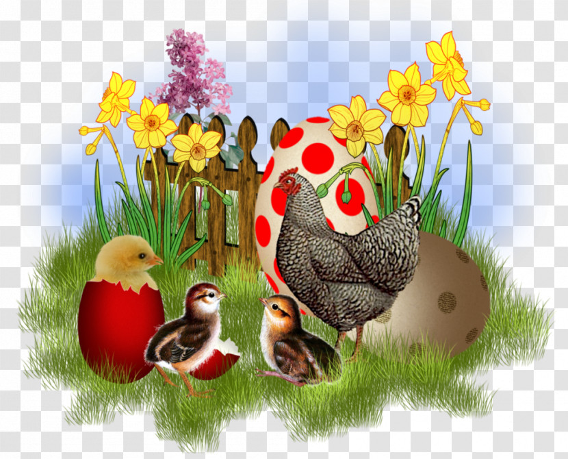 Grass Cartoon Plant Animation Narcissus Transparent PNG