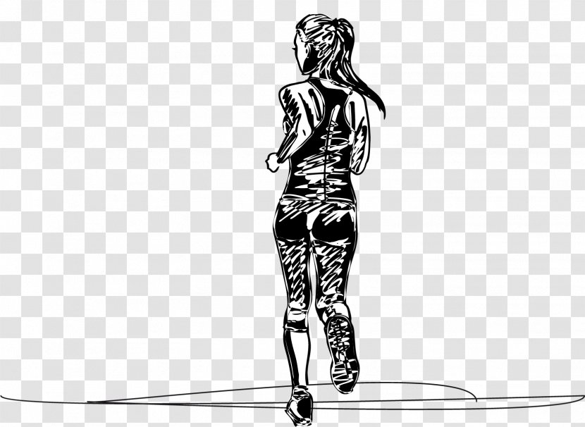 Euclidean Vector Drawing Illustration - Frame - Women Marathon Runners Artwork Sketch Transparent PNG