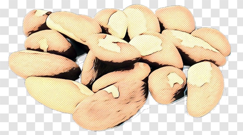 Vintage Background - Nut - Superfood Lecythidaceae Transparent PNG