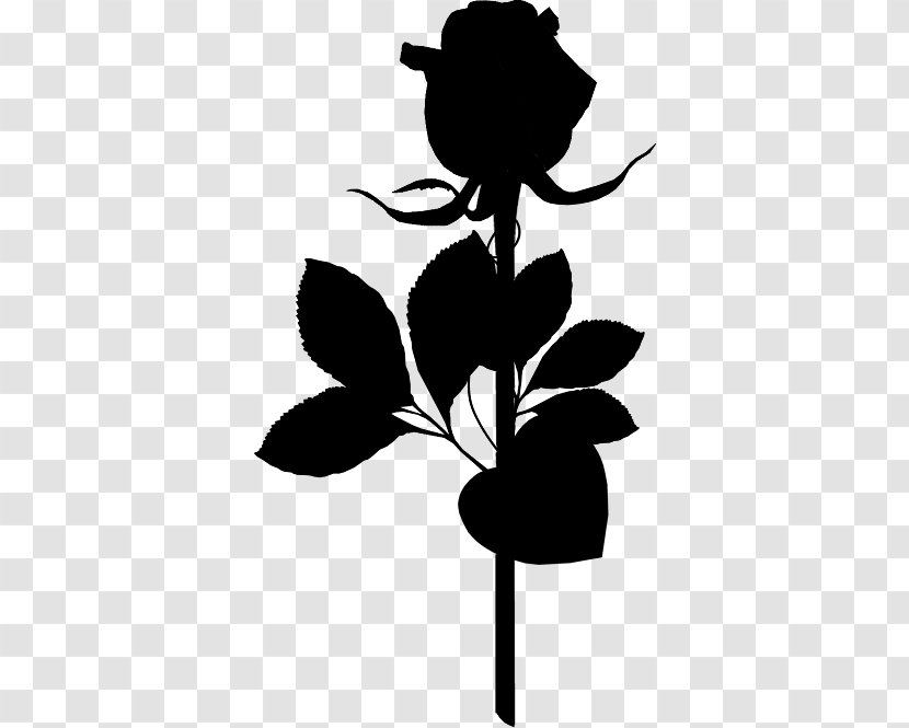 Flower Floral Design GIF Animation Rose - Blackandwhite Transparent PNG
