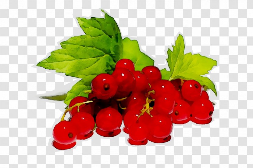 Redcurrant Blackcurrant Berries Fruit White Currant - Sauce Transparent PNG