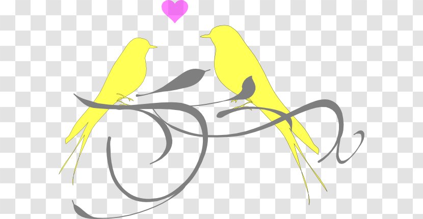 Lovebird Clip Art - Bird Transparent PNG