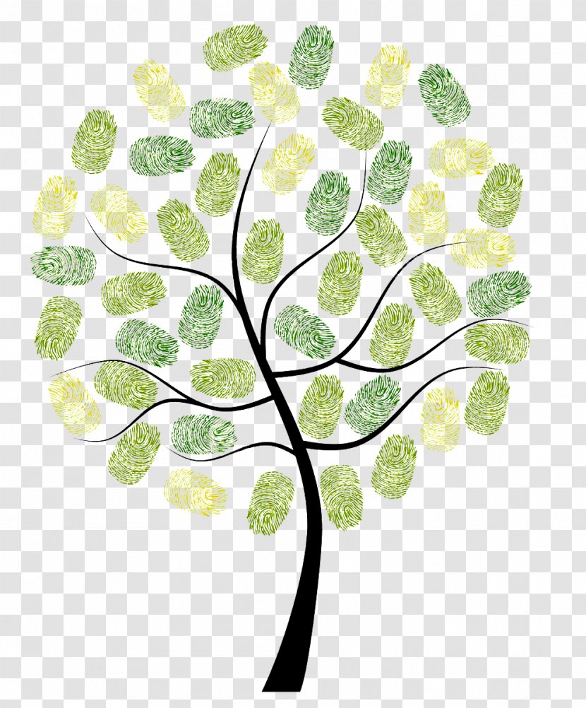 Fingerprint Owl Tree Digit Euclidean Vector - Flora - Happy Transparent PNG