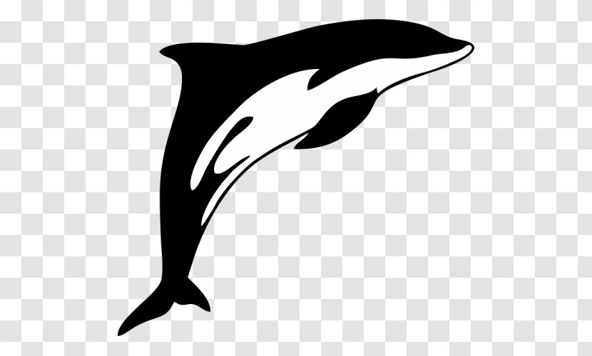 Tucuxi Clip Art White-beaked Dolphin Illustration - Cetacea Transparent PNG
