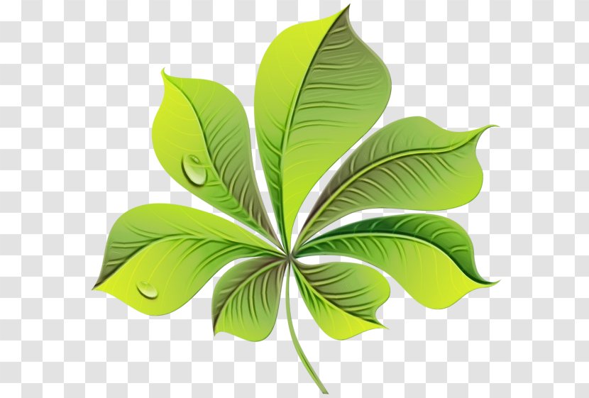 Green Leaf Logo - Plant Stem - Houseplant Transparent PNG