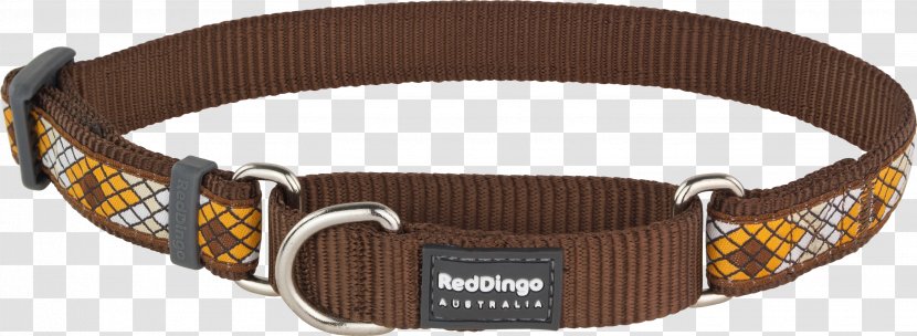 Dog Collar Dingo Martingale - Collars Transparent PNG