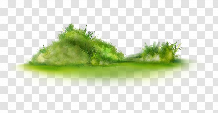 Clip Art - Tree - Grass Transparent PNG