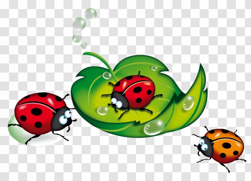 Ladybird Blog Beetle Clip Art - Yandex Search - Ladybug Transparent PNG