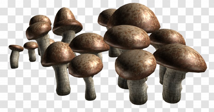 Edible Mushroom Fungus Clip Art - 420 Transparent PNG