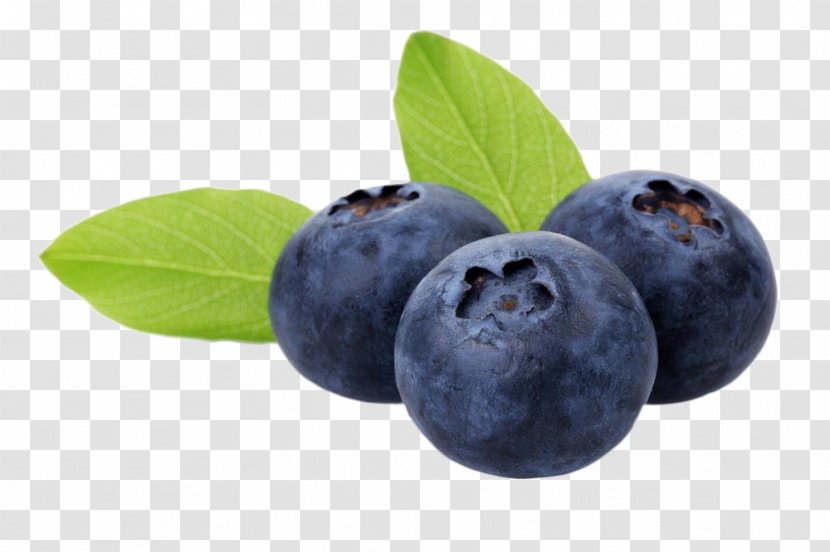 Blueberry Auglis Food Anthocyanin Fruit - Aedmaasikas - Delicious Transparent PNG