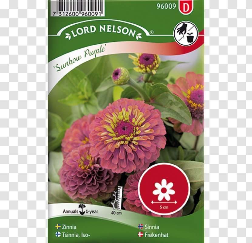 Seed Annual Plant Flower Common Zinnia Red - Elegans Transparent PNG