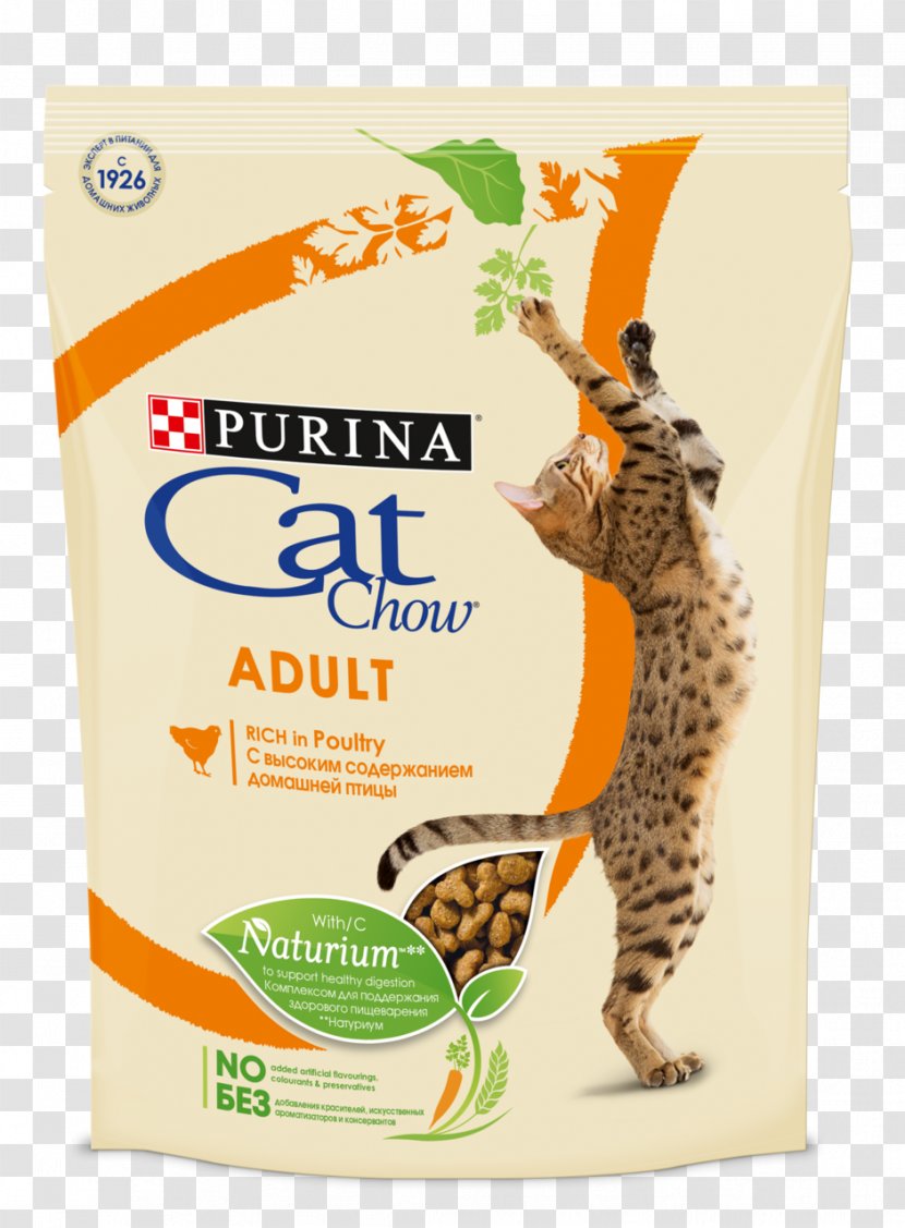 Cat Food Kitten Pet Nestlé Purina PetCare Company - One Transparent PNG