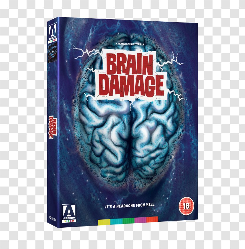 Blu-ray Disc Brain DVD Arrow Films - Tree Transparent PNG
