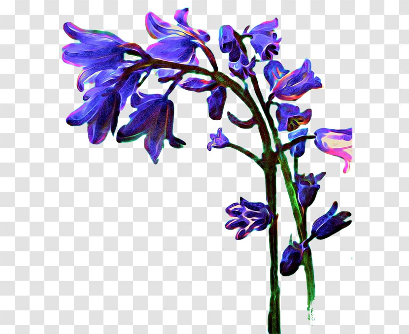 Lavender Cut Flowers Floral Design Violet - Flower - Bluebells Transparent PNG