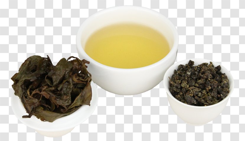 Hōjicha Oolong Nilgiri Tea Tieguanyin Transparent PNG