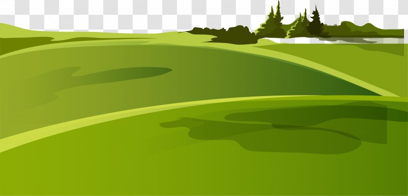 Green Grass Lawn - Tree - Meadow Transparent PNG