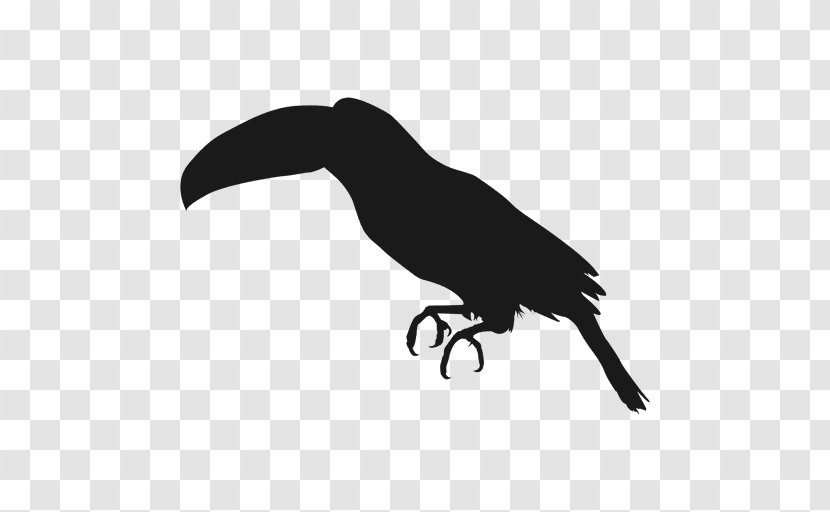 Beak Bird Toucan Silhouette - Raven Transparent PNG