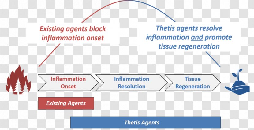 Brand Product Design Online Advertising Diagram - And Offline - Disease Prevention Transparent PNG