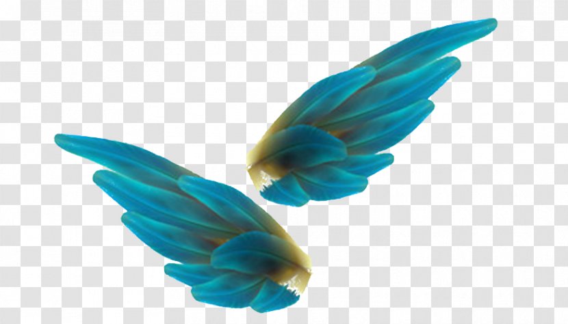 Bird Feather Angel Wing - Butterfly - Blue Feathers Transparent PNG