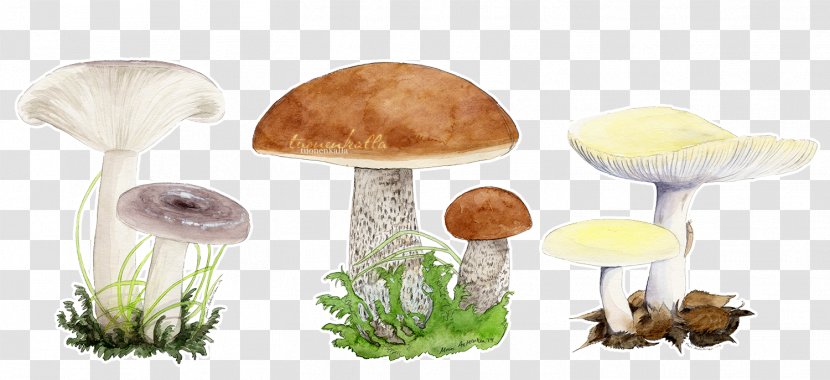 Mushroom Product Design Transparent PNG
