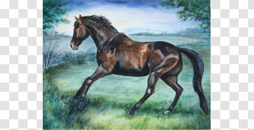 Stallion Watercolor Painting Foal Mustang - Horse Like Mammal Transparent PNG