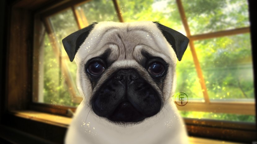 Pug Vertebrate Dog Breed Pet Toy - Carnivora Transparent PNG