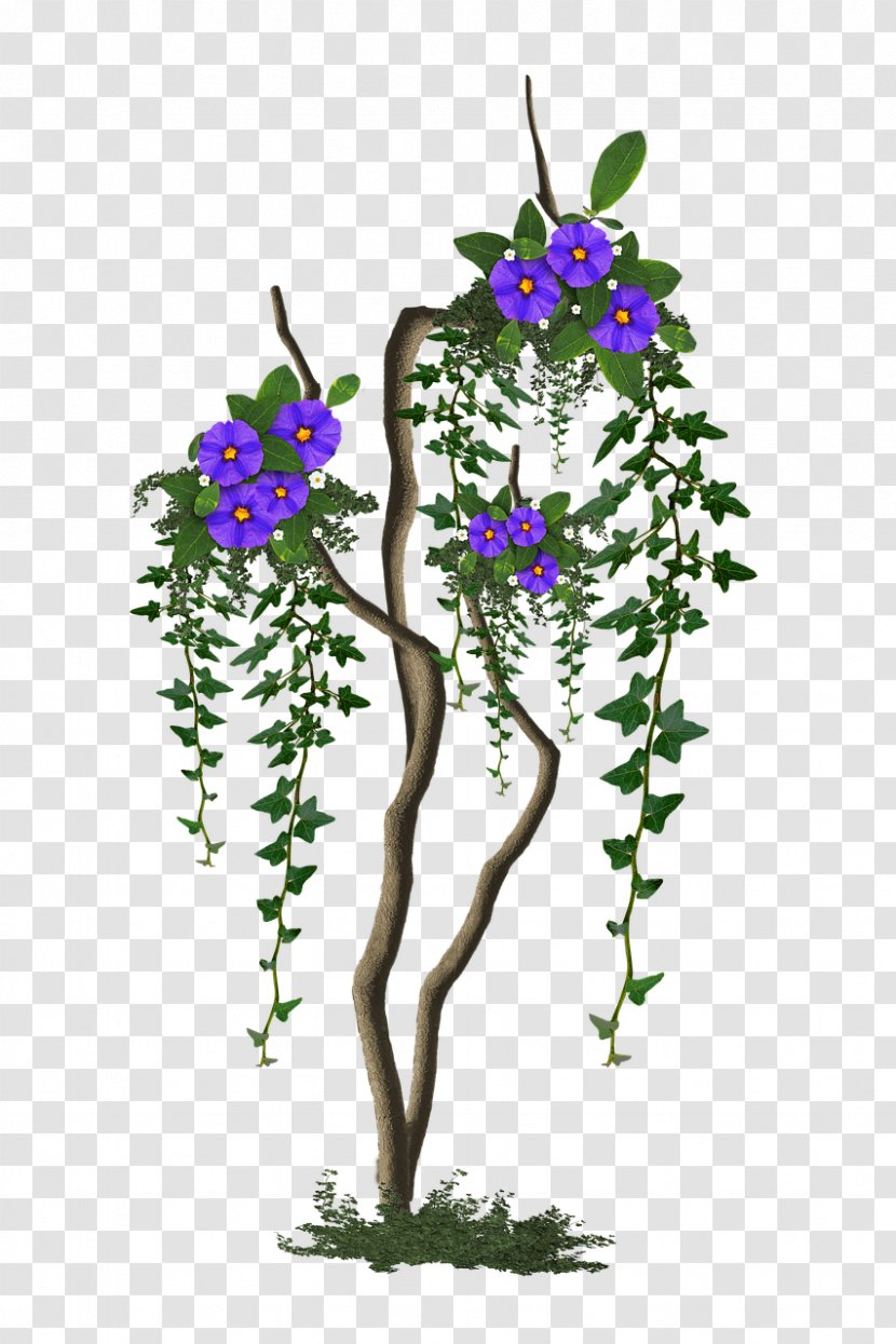 Flower Tree Floral Design Branch Lilac Transparent PNG