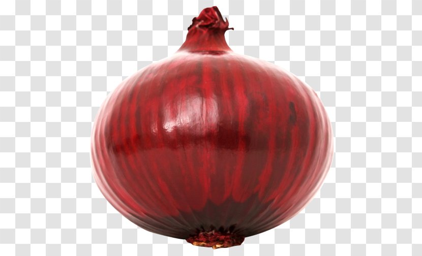 Red Onion Ribollita Vegetable - Christmas Ornament Transparent PNG