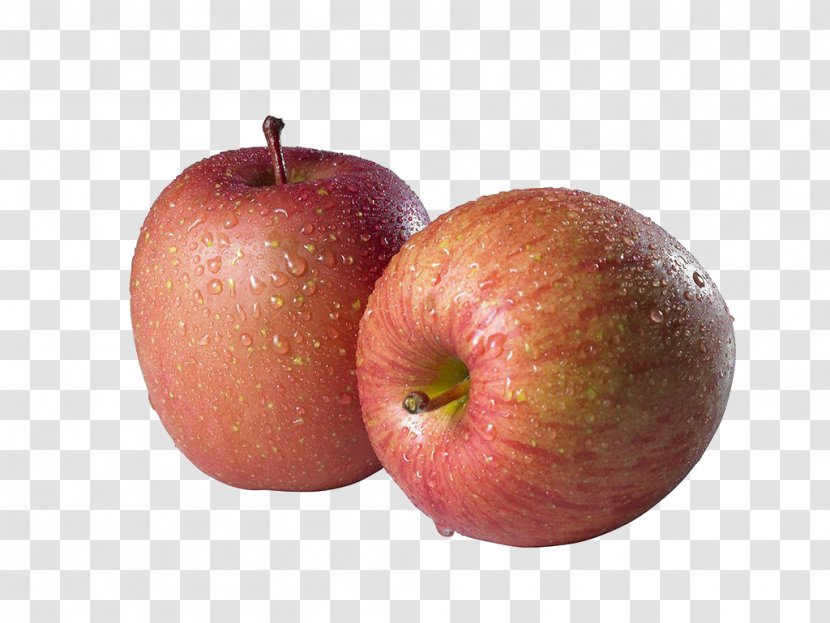 Apple Software - Mcintosh Laboratory - Two Apples Transparent PNG