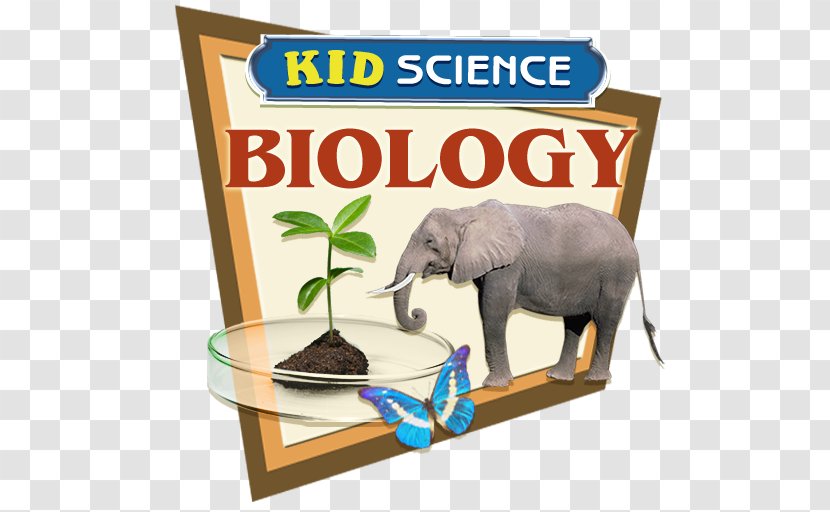 Indian Elephant African Bible Wildlife Elephantidae - Elephants And Mammoths - Science Experiments Transparent PNG