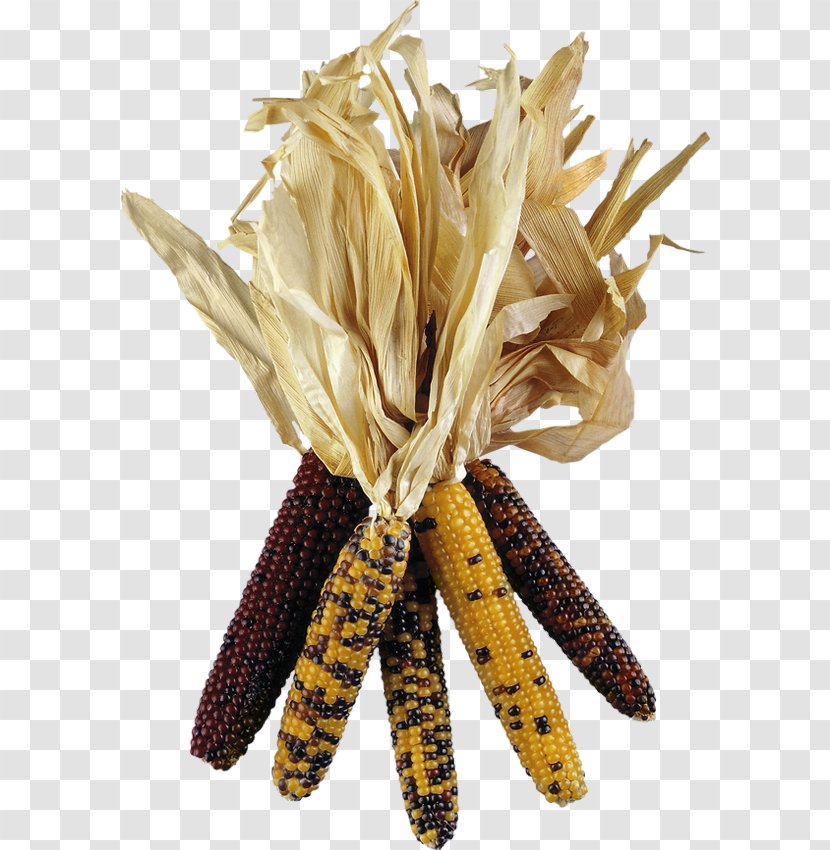 Popcorn Maize Grain - Food Group Transparent PNG