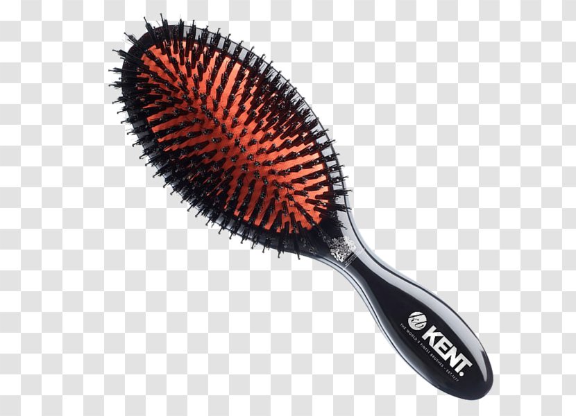 Comb Hairbrush Bristle Mason Pearson Brushes - Brush - Pure Natural Transparent PNG