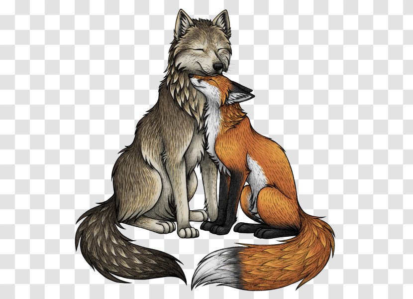 Red Fox Gray Wolf Drawing - Carnivoran Transparent PNG
