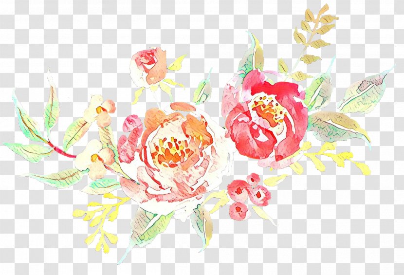Flower Garden Roses Illustration Image Drawing - Botany Transparent PNG
