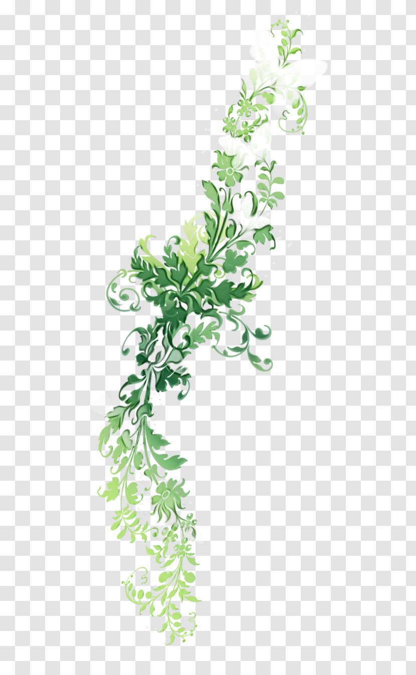 Plant Flower Branch Leaf Tree - Stem - Twig Transparent PNG