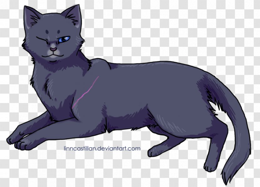Cat Warriors Bluestar's Prophecy Drawing - Jayfeather Transparent PNG